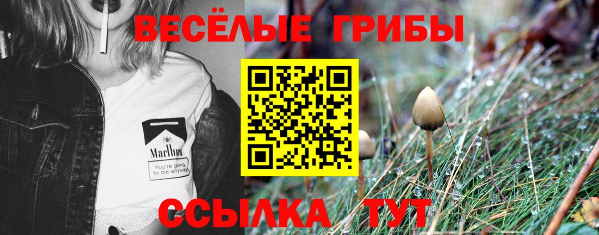 Батайск  Псилоцибиновые грибы MAGIC MUSHROOMS  Вход с VPN 
